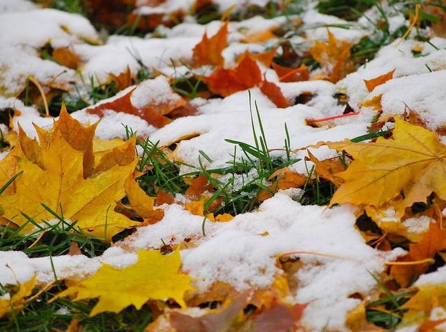 Синоптики прогнозують, що у жовтні випаде перший сніг