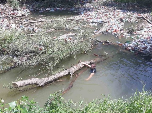 Сотні пляшок та повалені дерева: на Берегівщині розчищали річку