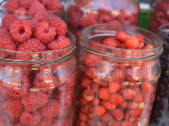 Закарпатці запасаються ягодами. Ціни на природні вітаміни відчутно знизились