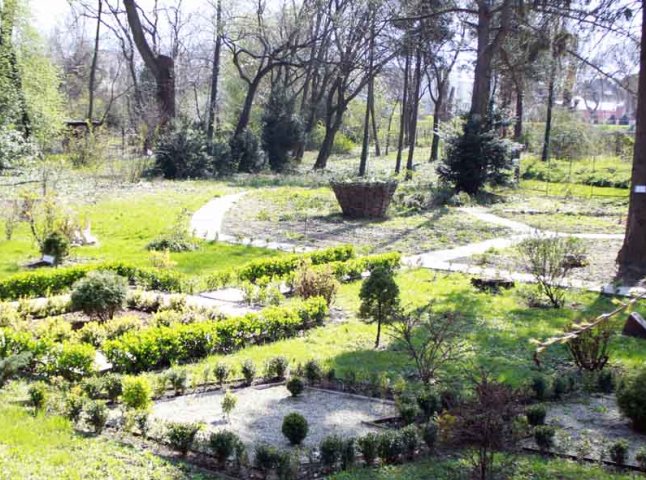 У ботанічному саду УжНУ розцвіли кілька десятків екзотів