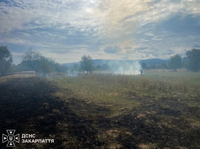 «Надзвичайники» приголомшили масштабами пожеж в екосистемах області