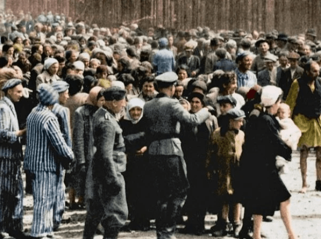 Опубліковано рідкісні знімки із нацистського "табору смерті" – Освенцима. Їх зберегла його колишня ув’язнена із Закарпаття