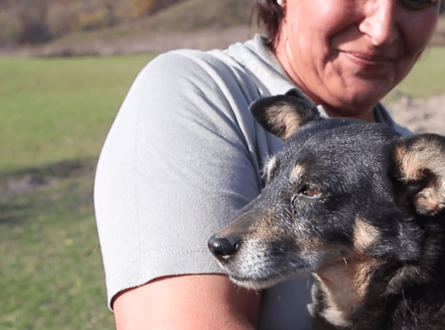 На Закарпатті собака врятував життя хазяїну