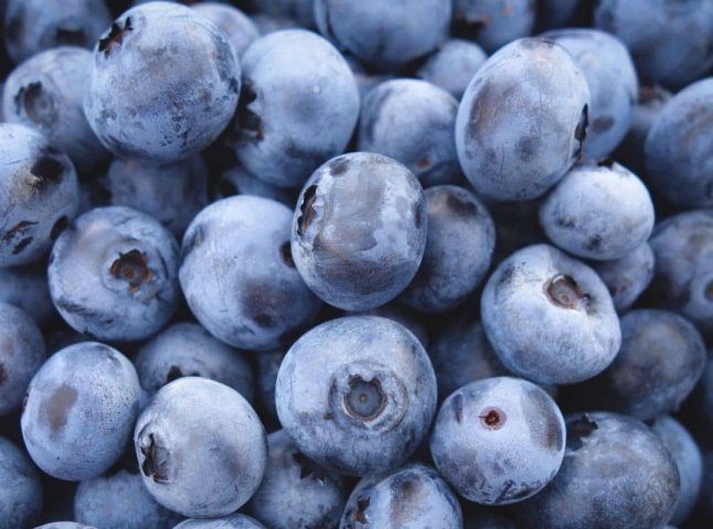 У продаж надійшла перша лохина, зібрана у 2025 році: ціни здивували