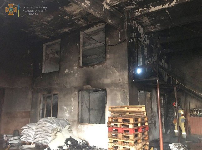 Підсобка згоріла, а склад вдалося врятувати: ранкова пожежа на Ужгородщині