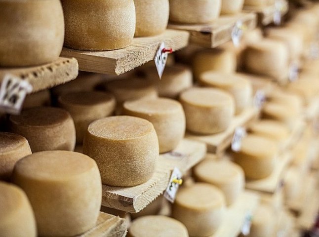 На Закарпатті знаходиться єдине в Україні підприємство з виготовлення швейцарського сиру