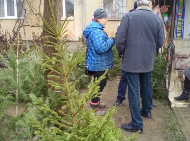 Муніципальна поліція Ужгорода провела рейд місцями продажу ялинок