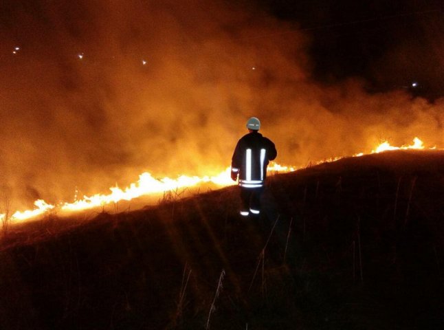 Масштабні пожежі на Закарпатті завдали шкоди екосистемам на площі 16 га