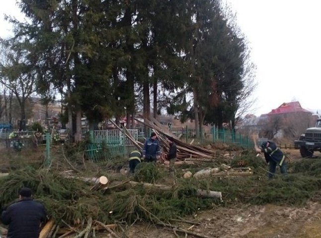 Міжгірські рятувальники розчистили цвинтар від дерев