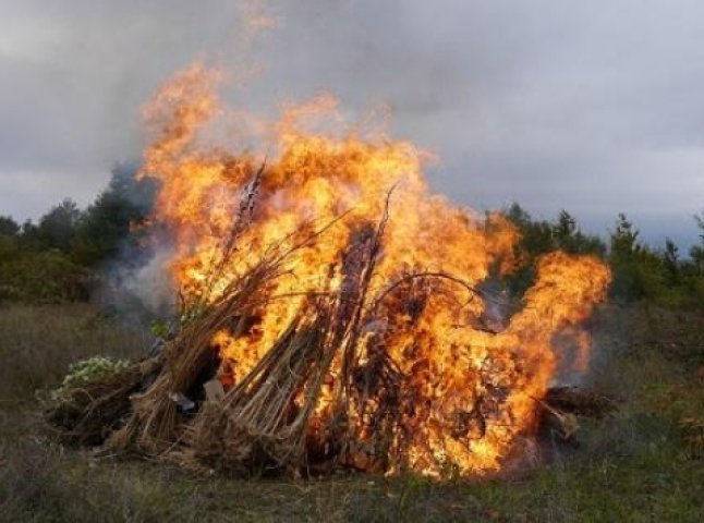На Ужгородщині згоріла велика партія наркотиків