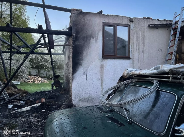 Гавкіт собаки розбудив господарів і вони побачили значну пожежу