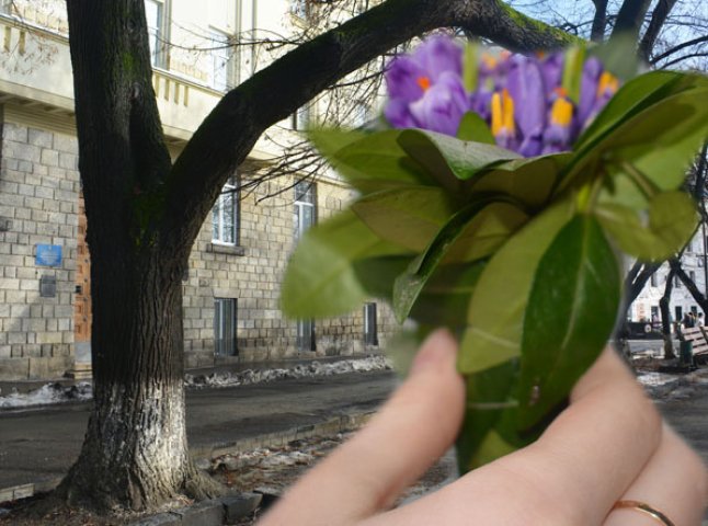 В Ужгороді вже продають перші весняні квіти