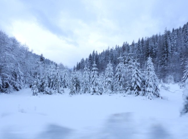 Експосадовець отримав підозру через махінації із землями «Синевиру»
