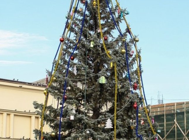 Ужгородська новорічна красуня - одна з найстаріших в Україні