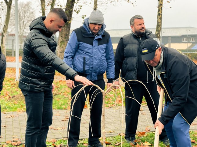 Алею олімпійської слави заклали у Мукачеві