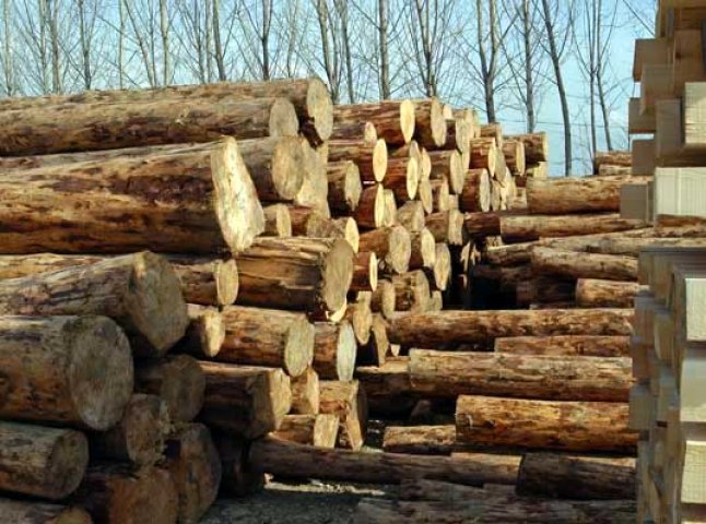 За перше півріччя цього року закарпатці виготовили лісопродукцію на 197 млн грн