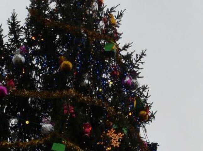 Найвища новорічна красуня Закарпаття знаходиться в Сваляві