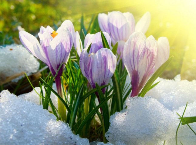 Погода на березень 2023 року: коли розпочнеться справжня весна