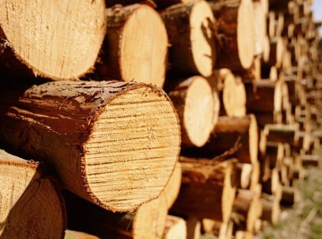 В Ужгороді відбудеться міжнародна бізнес-зустріч  з питань лісозаготівлі та деревообробки
