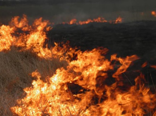 На Іршавщині сто людей ліквідували загорання чагарників