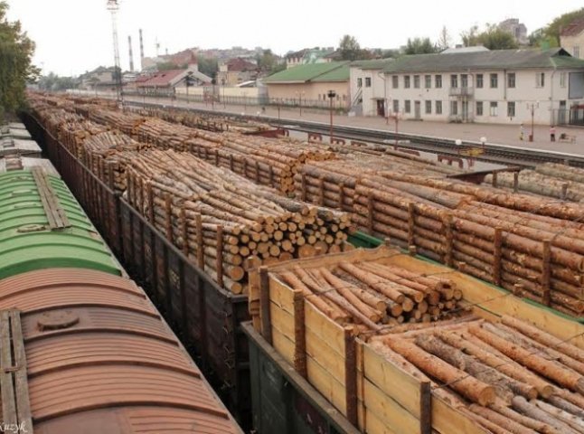 Наче в Європі зараз лютий холод, а не спека, – Москаль про 134 вагони із деревиною, затримані на Закарпатті