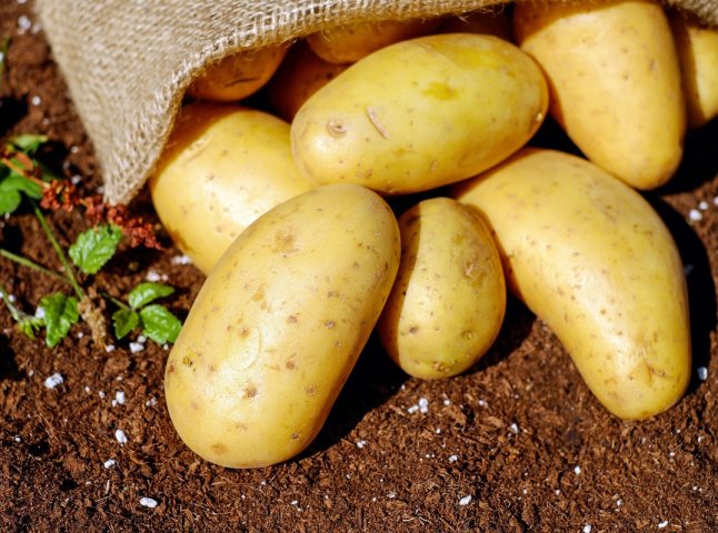 Ціна на картоплю незабаром зміниться