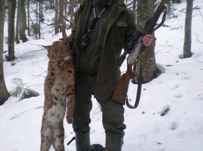 Олег Ляшко назвав лісничого, який на Рахівщині вбив рідкісну тварину, збоченцем