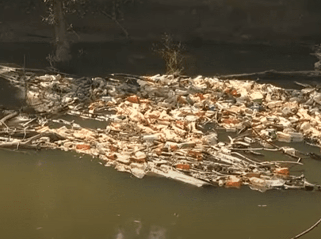 На Закарпатті знайшли рештки людини, коли очищали річку від сміття