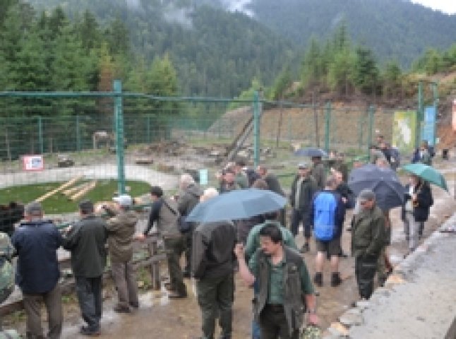 НПП "Синевир" відвідали працівники лісового господарства Чеської Республіки