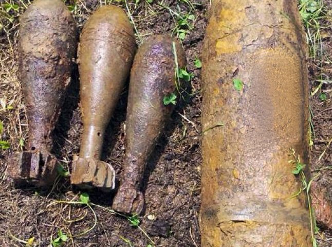 На Ужгородщині в лісі виявлено 4 боєприпаси часів Другої світової війни