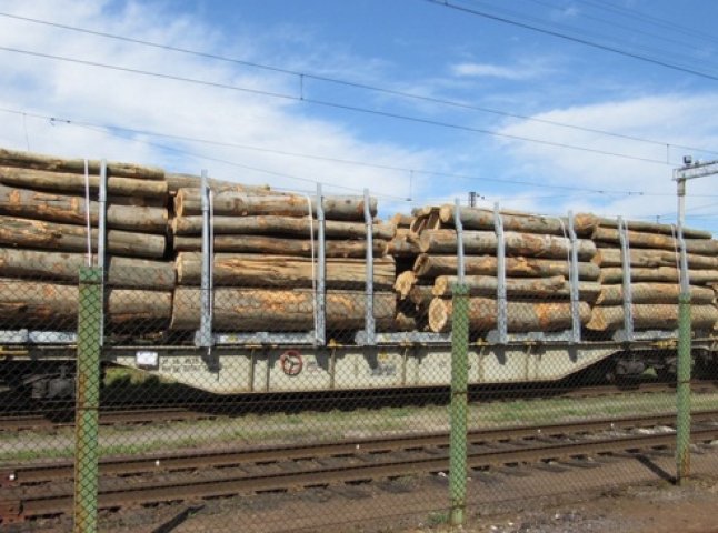 Через відсутність експерта потяг з лісом залишається у Чопі