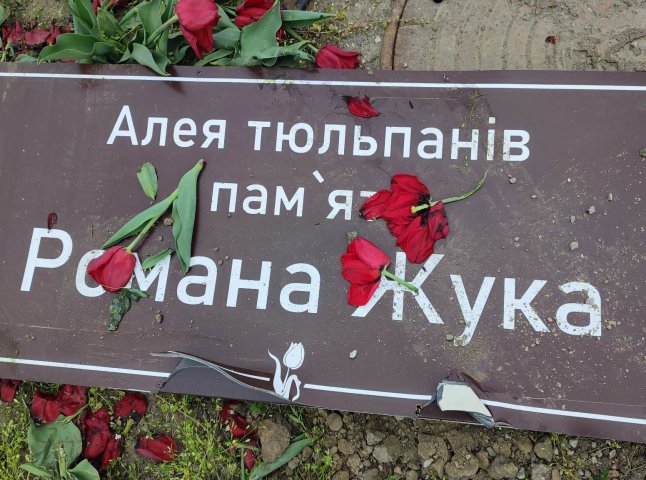 У Мукачеві пошкодили Алею тюльпанів пам’яті полеглого Романа Жука