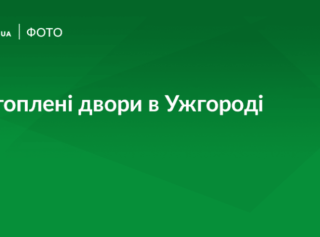 Через інтенсивний дощ в Ужгороді підтоплено кілька дворів