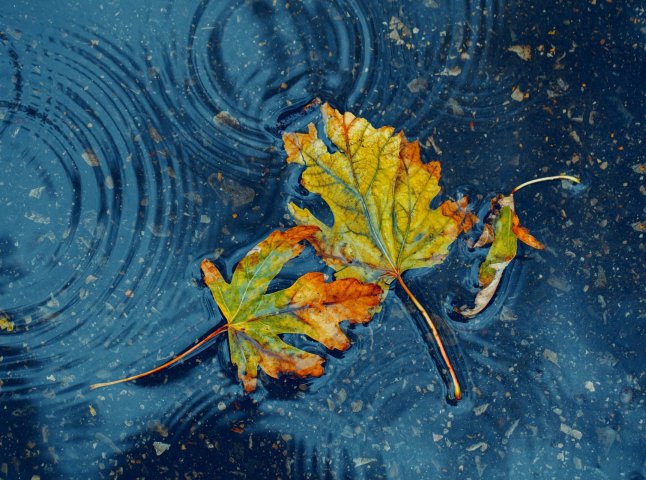 Дощі та похолодання: коли погіршиться погода