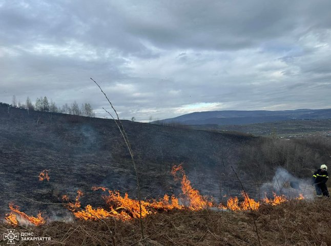 Закарпатські рятувальники розповіли про масові загорання в області