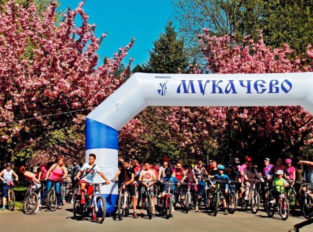 Завтра в Мукачеві відбудеться велозаїзд "сакуровими" вулицями