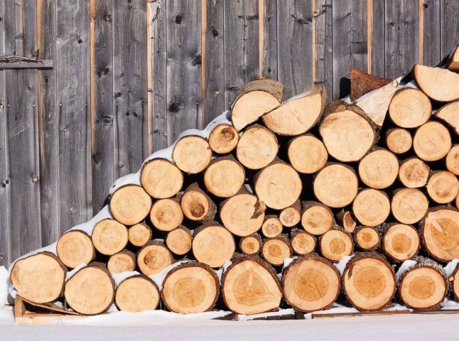 Людям видаватимуть дрова безкоштовно: кому та за яких умов