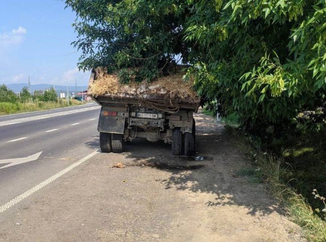 В Ужгороді прямо на ходу із вантажівки на дорогу падали мертві кури