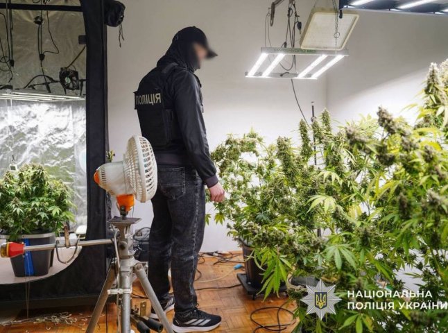 Вісьмох закарпатців викрили під час спецоперації «Джентльмени»