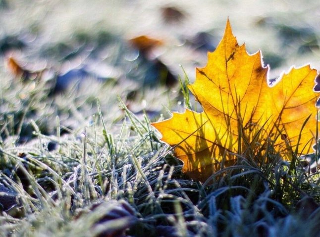 Вересень підготував погодний «сюрприз»: синоптики заговорили про заморозки — коли саме очікувати