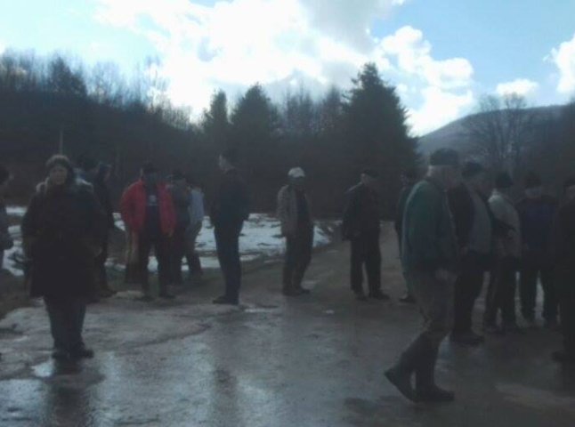 У Свалявському районі люди вийшли на протест проти вирубки лісу