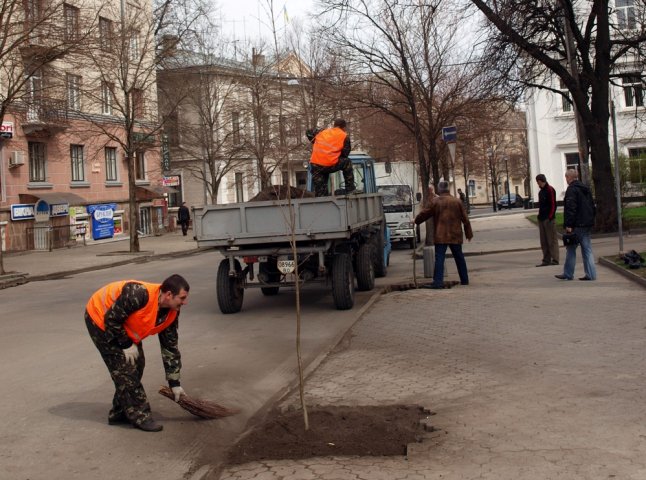 В Ужгороді на вулиці Собранецькій сьогодні саджатимуть дерева
