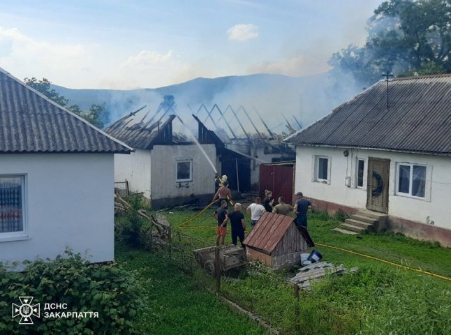 Рятувальники розповіли про пожежу, яку вчора гасили