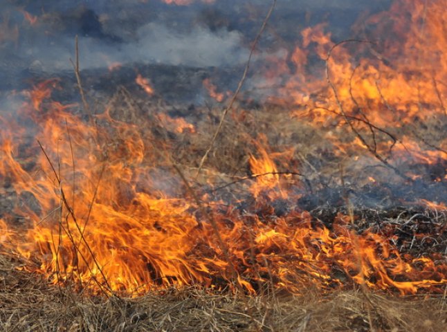 Через необережне поводження з вогнем, у Мукачеві на Набережній горіла трава