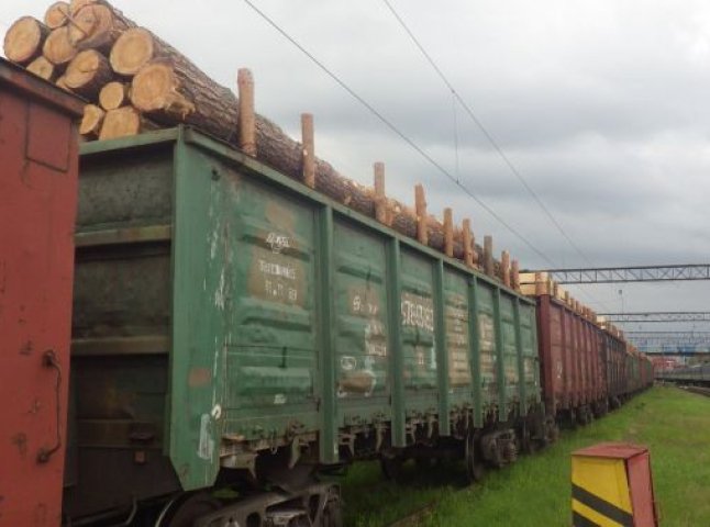 На Закарпатті суд конфіскував у дохід держави ще один вагон із деревиною, який через територію області йшов на експорт у Євросоюз