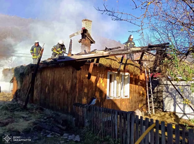 Рятувальники одночасно гасили пожежу в надвірній споруді та берегли будинок від вогню