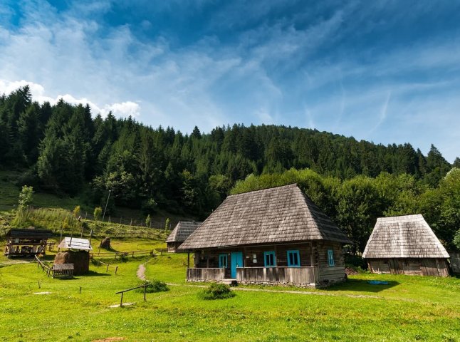 Що означає слово «алдомаш» із закарпатської говірки