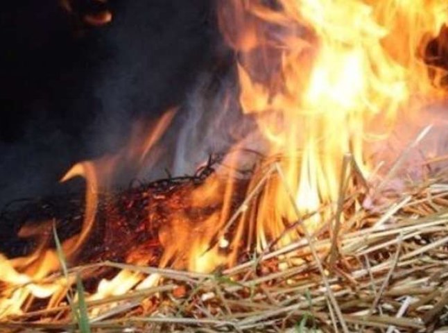 У селі на Мукачівщині згоріло 15 тонн сіна