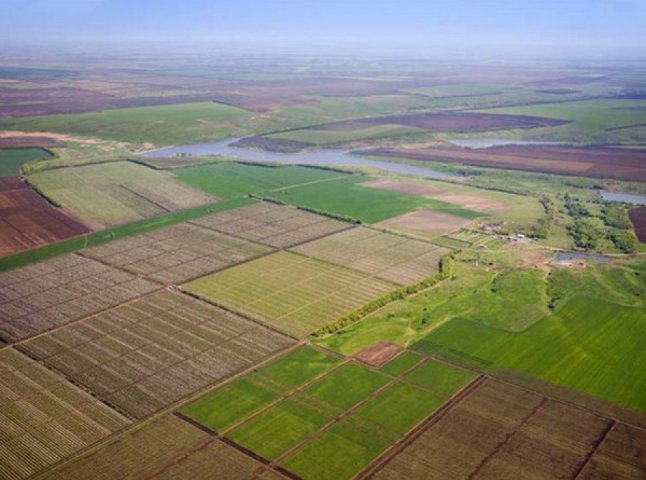 Обласні землевпорядники незаконно вивільнили 2 гектари цінних земель