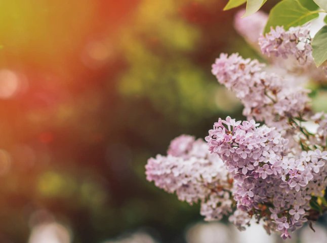 Чи прийде потепління до кінця квітня: синоптик оновила прогноз